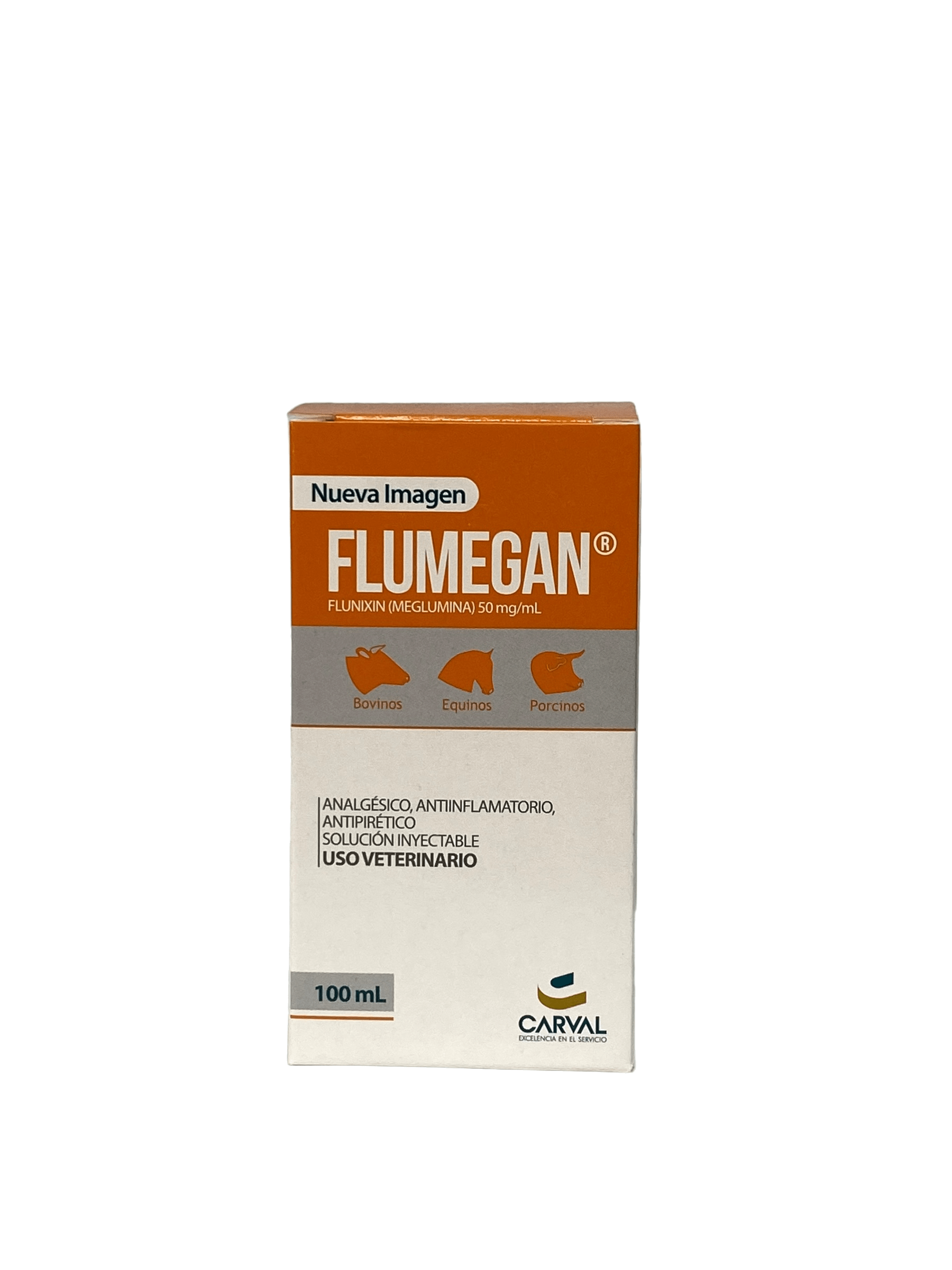 Flumegan 100ml